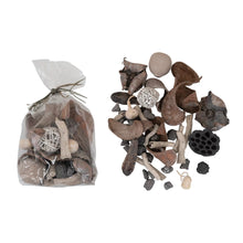 Load image into Gallery viewer, Assorted Size Dried Plant Mix, Whitewash Finish