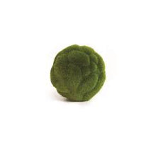 Load image into Gallery viewer, Moss Orb
