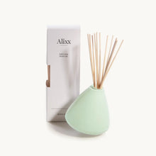 Load image into Gallery viewer, Alixx Diffuser Vase
