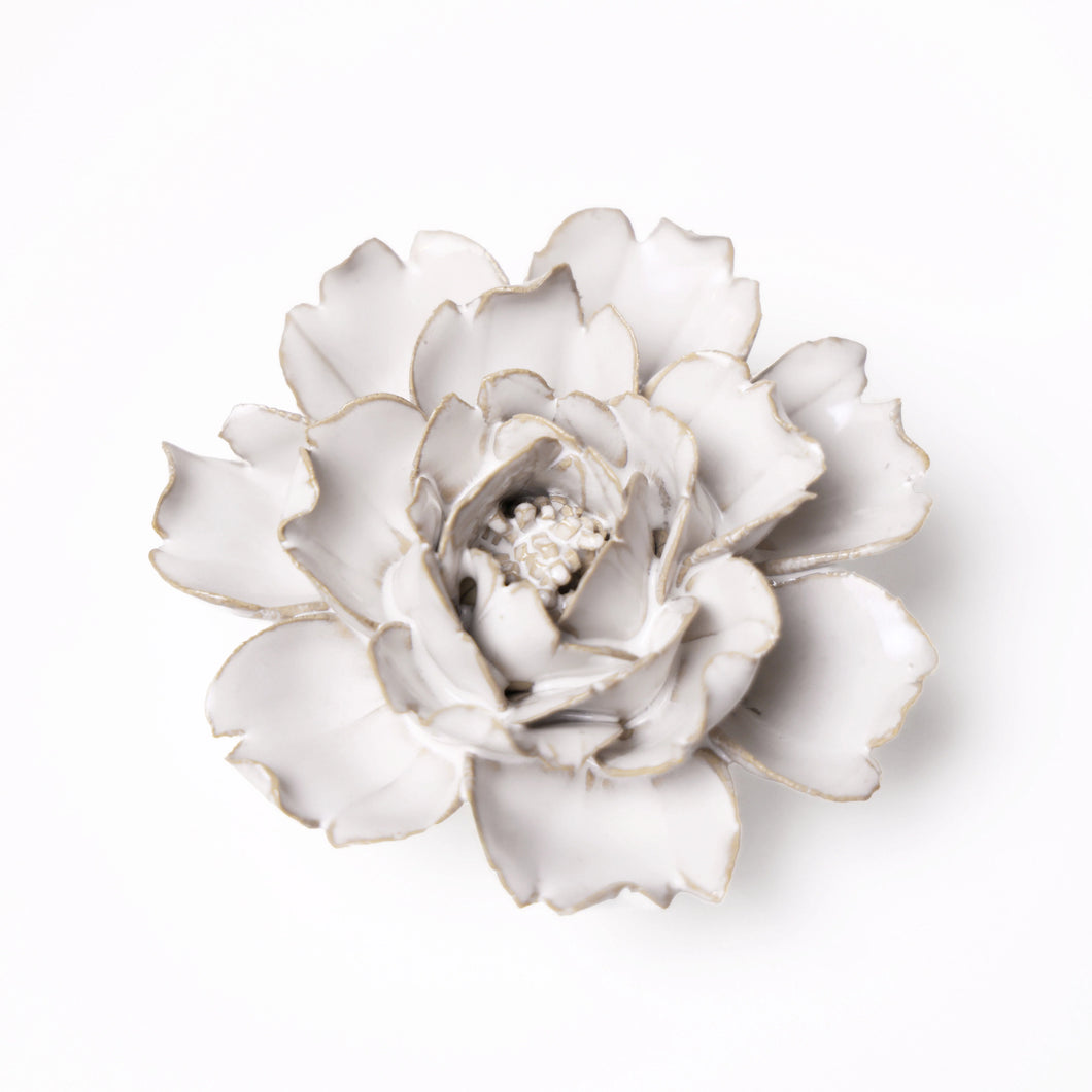Ceramic Ivory Rose