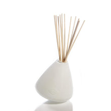Load image into Gallery viewer, Alixx Diffuser Vase
