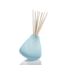 Load image into Gallery viewer, Alixx Diffuser Vase
