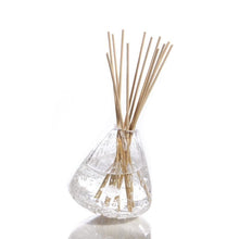 Load image into Gallery viewer, Alixx Diffuser Vase
