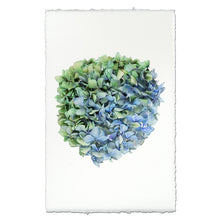 Load image into Gallery viewer, Hydrangea Prints
