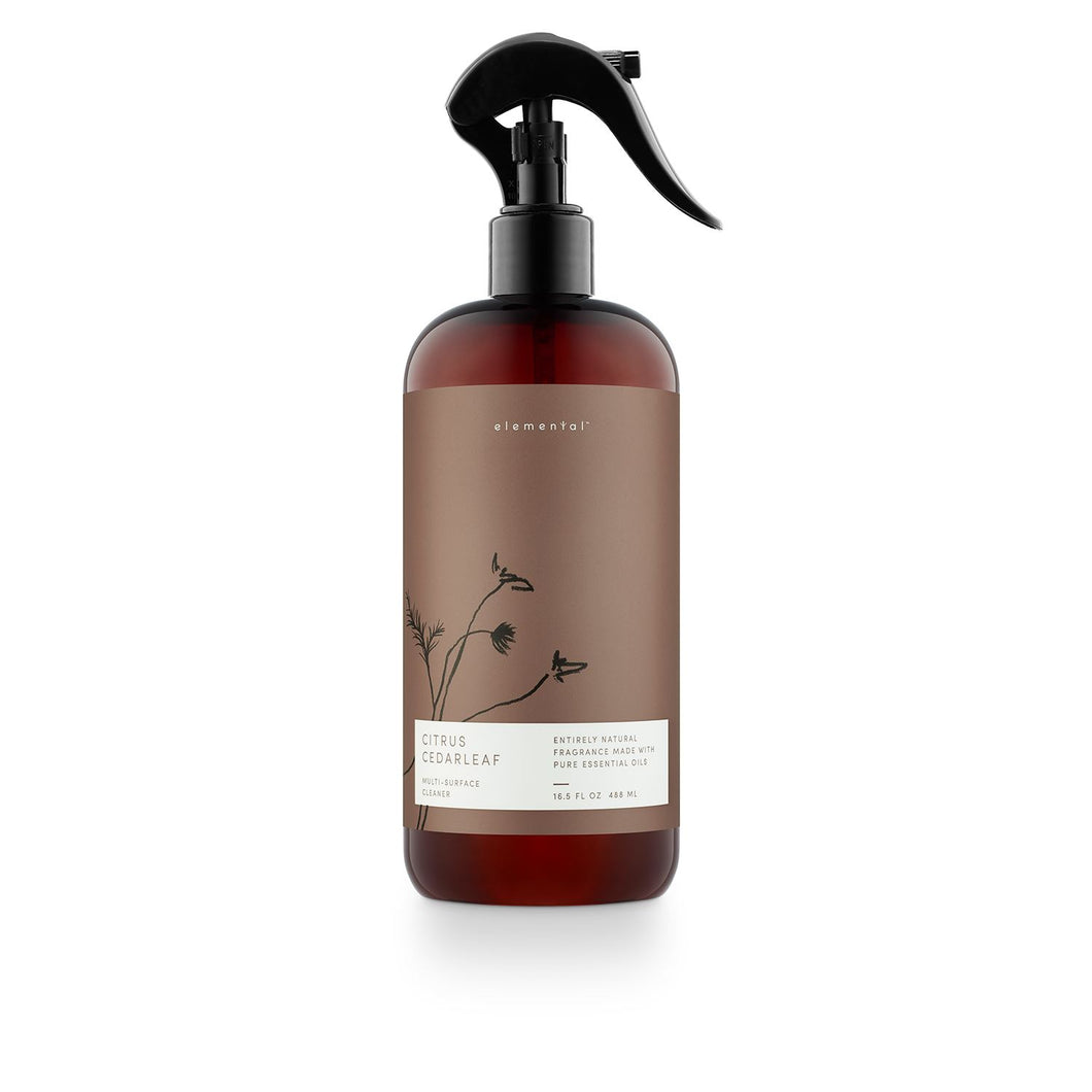Multi-Surface Cleaner