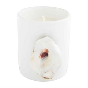 Oyster Candle
