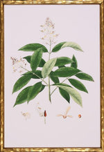 Load image into Gallery viewer, Spring Green Foliage
