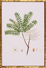 Load image into Gallery viewer, Spring Green Foliage
