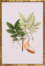 Load image into Gallery viewer, Spring Green Foliage
