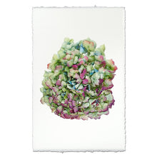 Load image into Gallery viewer, Hydrangea Prints
