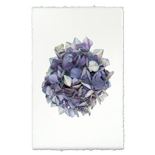 Load image into Gallery viewer, Hydrangea Prints
