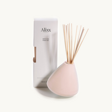 Load image into Gallery viewer, Alixx Diffuser Vase
