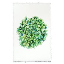 Load image into Gallery viewer, Hydrangea Prints
