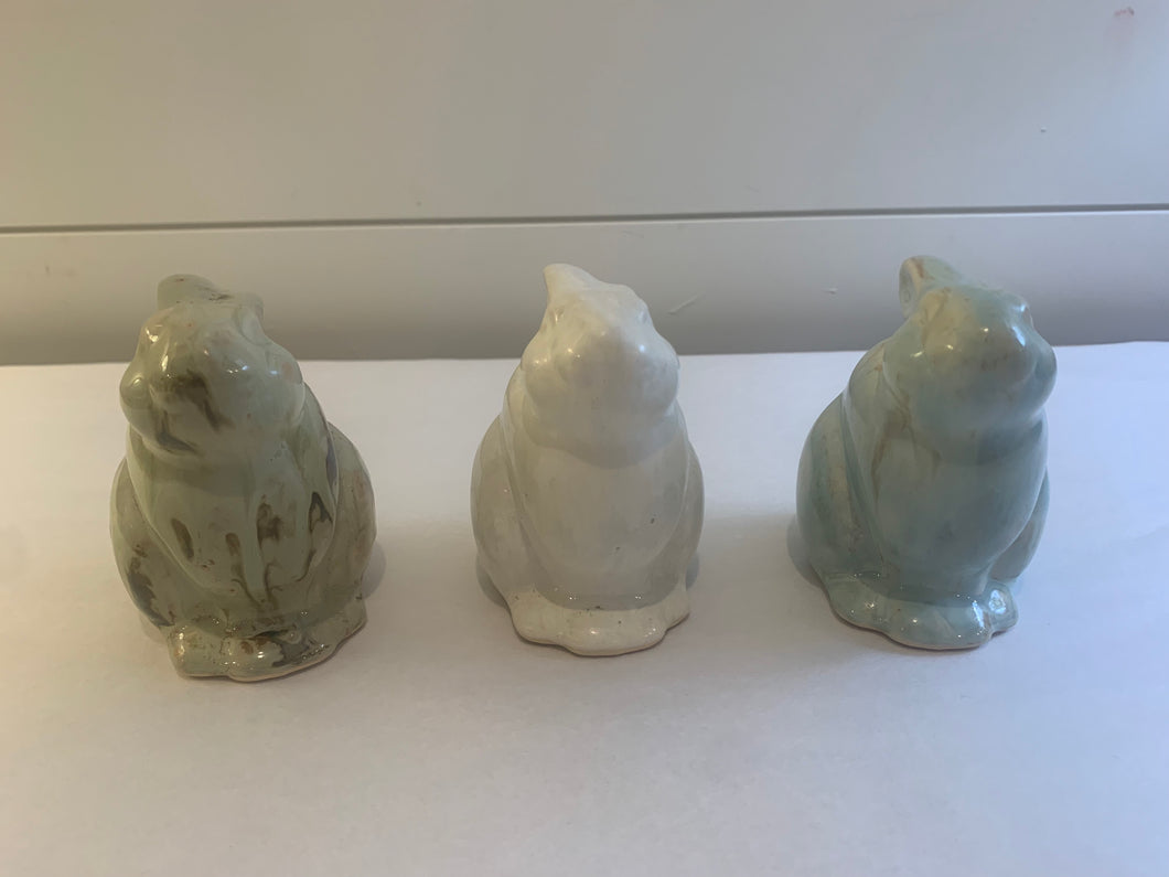 GE Rabbit Sitting