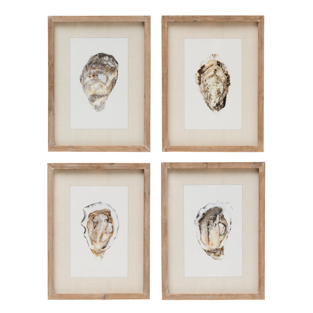 Oyster Prints