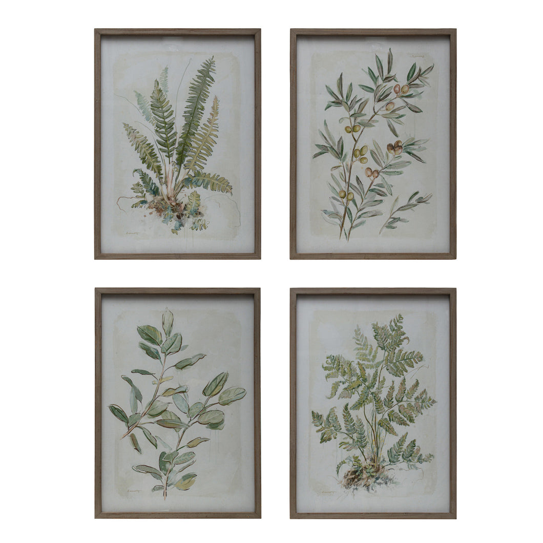 Olive & Fern Botanical Prints