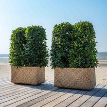 Load image into Gallery viewer, Rafi Bamboo Planter

