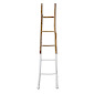Dipped Wood Ladder